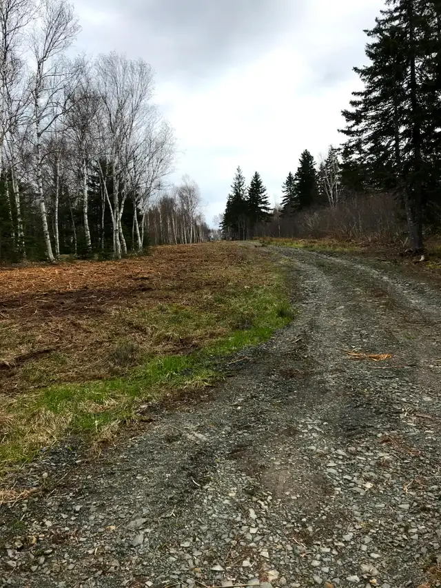 For Sale 10.7 acres of cleared/undeveloped land, Cape Breton, NS in Land for Sale in Vancouver - Image 3