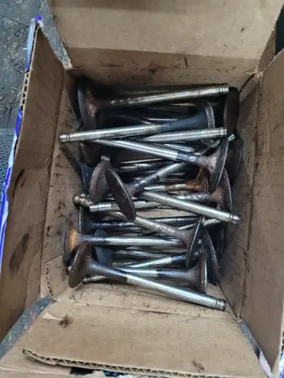 Box full of big block chevy valves, probably 3 or 4 heads worth. Pickup Scarborough.
