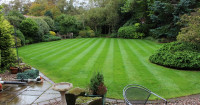 Weekly Lawn Maintenance & Lawn Care Services 