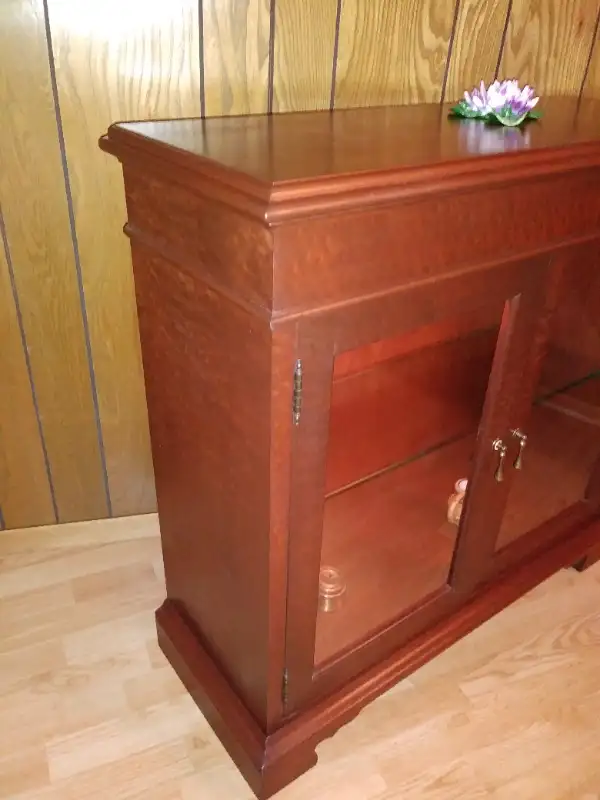Display cabinet (Markham rd. south of 401) in Hutches & Display Cabinets in City of Toronto - Image 10