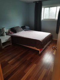 Roommate wanted 