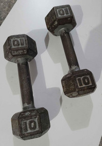 2 x 10 LB Kit Poids Haltères Libre / Dumbbells Barbells Set