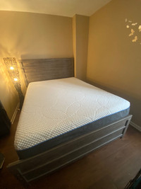 Bed frame and Matress for sale