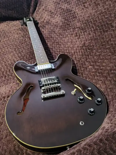 ***NOUVEAU PRIX *** Epiphone ES-335 Jim James, View more