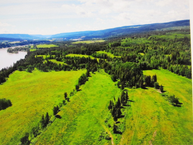 175 acres for sale on the Fraser River in Houses for Sale in Williams Lake - Image 2