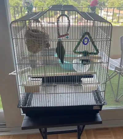 Bird cage with Everything Inside, View more