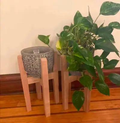 Plant Stand, View more