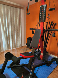 Bowflex  PR3000 Home gym