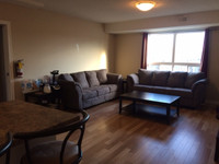 STUDENT ROOMS FOR SEPT.  - NEAR UW - MALE ONLY