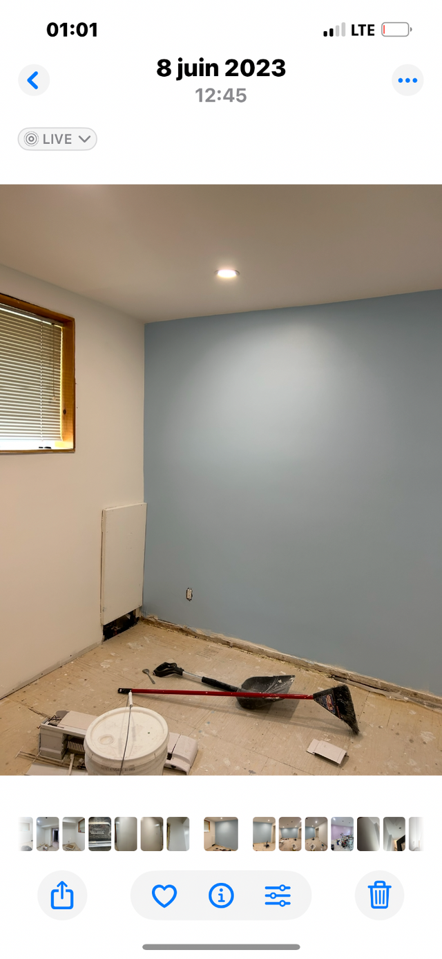 Drywall and Painting…444703085397944323