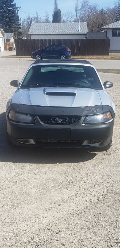 2003 Mustang GT Convertible For Sale!