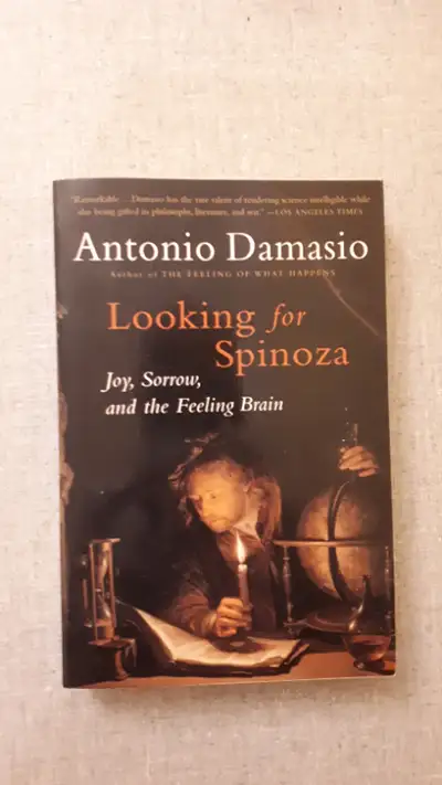 Looking For Spinoza: Joy, Sorrow, and the Feeling Brain, View more