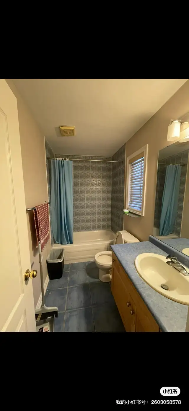 nice room in Richmond Hill in Ontario in Canada - Image 4