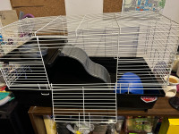 Rat cage/ accessories 