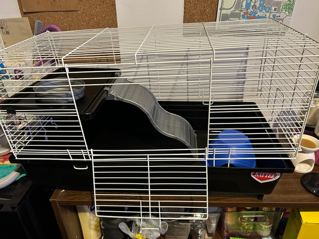 Rat cage/ accessories  in Accessories in Barrie