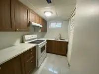 3 Bedroom Basement unit - Rent to University or College students