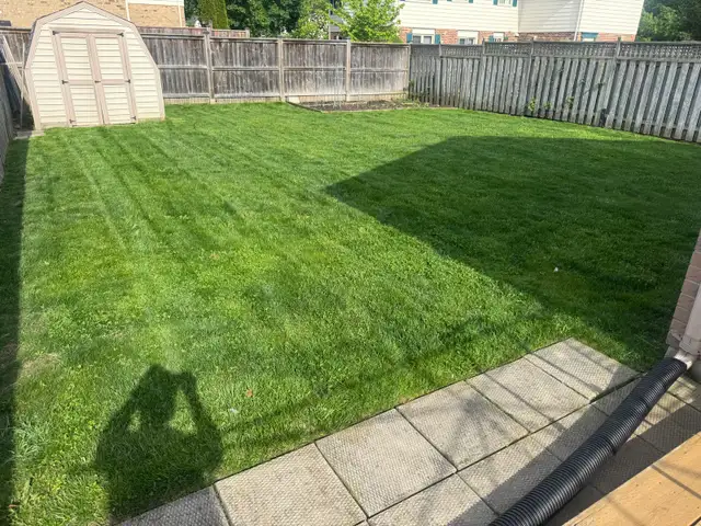 Grass Cutting529384748247296008