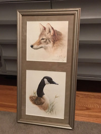 Fine Art Wildlife Print