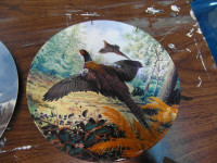 collectors plates of birds