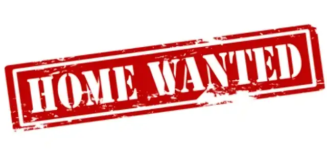 ISO Looking to buy a house in the Battlefords / surrounding area