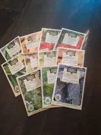 Last years seeds for sale
