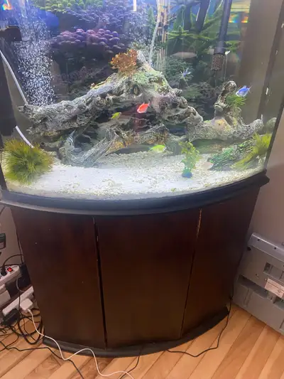 36 Gallon Fish Tank,And Stand, View more