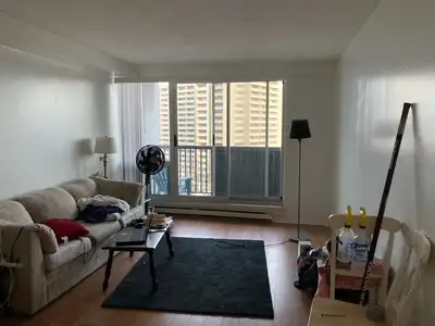 Spacious 3-bedroom 2-bath apartment near Carleton U. for rent