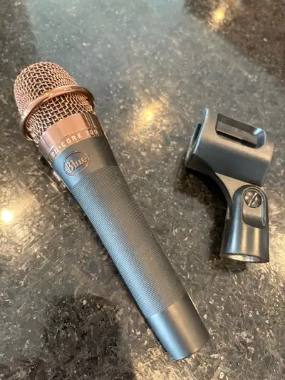 Blue Encore 200 microphone, View more