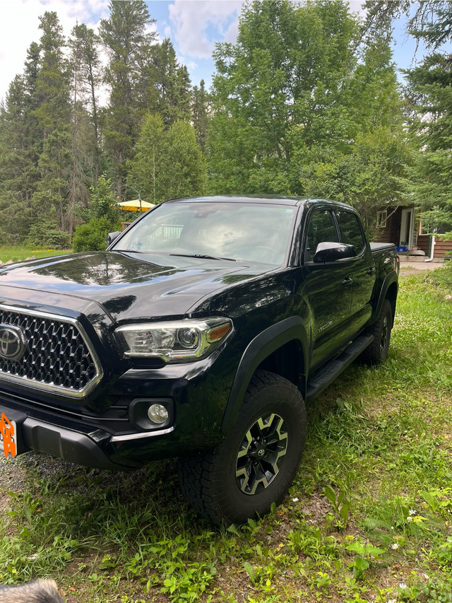 2018 Toyota Tacoma TRD Sport – Low KM, Excellent Condition! in Cars & Trucks in Kenora