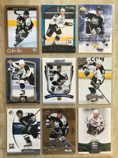 Lot de 14 cartes de hockey différentes - Brad Richards, View more