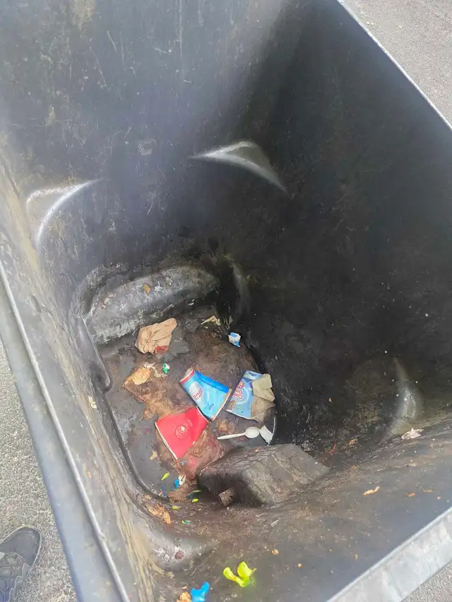 Garbage Cleaning571054948741304321