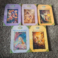 Set of 5 Fairy Novel Books
