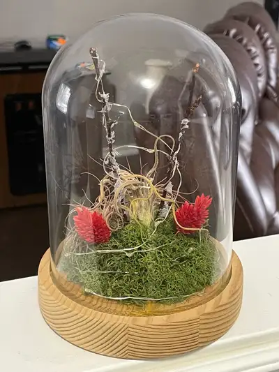 BEAUTIFUL BATTERY OPERATED TABLETOP DECORATION , View more