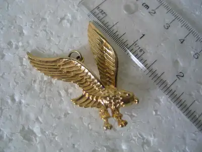 Gold Colour Eagle Pendant Unisex, View more