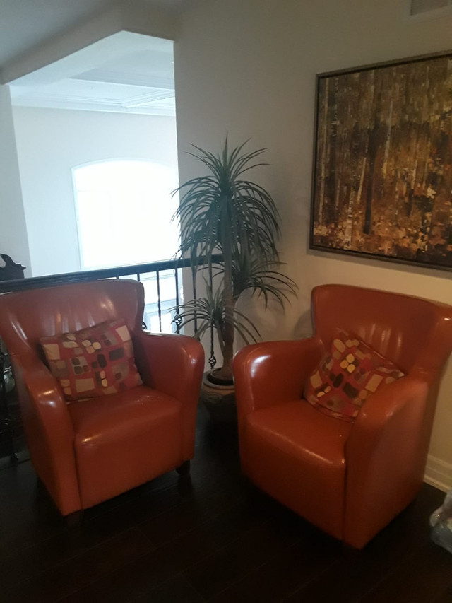 Free sofas in Free Stuff in Mississauga / Peel Region - Image 3