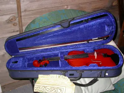 Violin Instrument, View more
