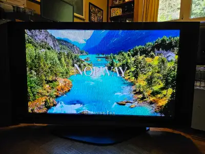 42" Plasma TV, View more