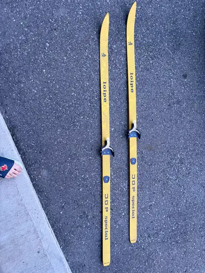 cross-country (Nordic) skis, View more