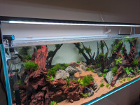 Lumière LED aquarium Chihiros WRGB 2 Slim 120