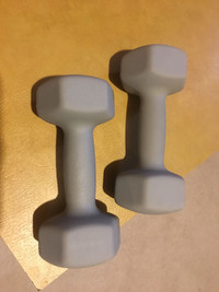 PurAthletics 10lb Dumbbell Set (2pc x 10lb) fairly used