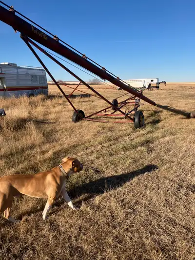 40 foot versitle auger 8 inch pto drive 540 words great