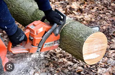 For a tree that fell on your property and want it cut down or taken away ? We can do that . We can c...