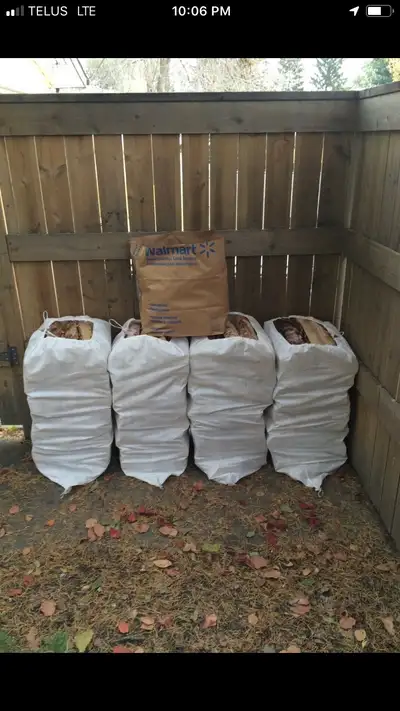 4 Huge Bags Dry Birch Firewood+Kindle+Free Delivery$180, View more