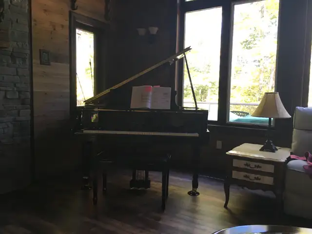 piano lesson 63735894724355120
