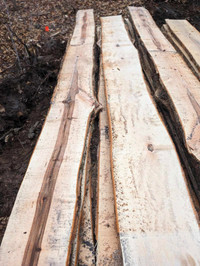 Live Edge Wood Slabs for Sale Oshawa and Haliburton Pick Up
