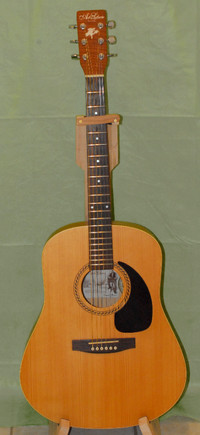 Art and Lutherie Acoustic Guitar