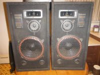 Vintage Samaurai Speakers Pro Series Model no. 518 - 300 Watts