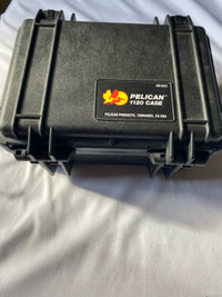 Pelican 1120 case