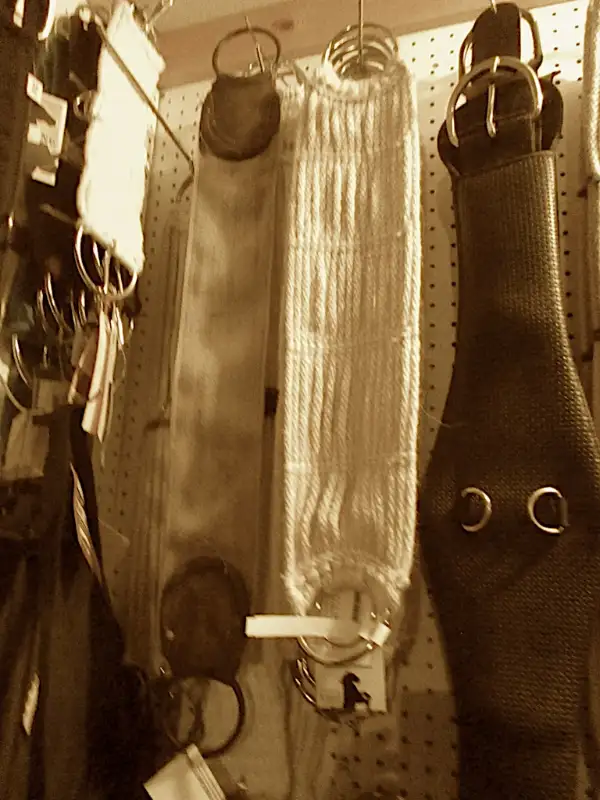 Pack Cinch, single and double, Dawson Creek in Equestrian & Livestock Accessories in Dawson Creek - Image 10