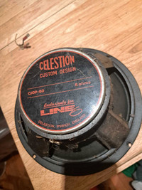 2 Celestion CIOP-80 Speakers